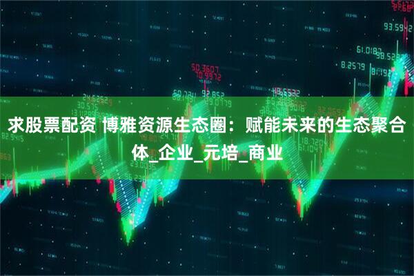 求股票配资 博雅资源生态圈：赋能未来的生态聚合体_企业_元培_商业