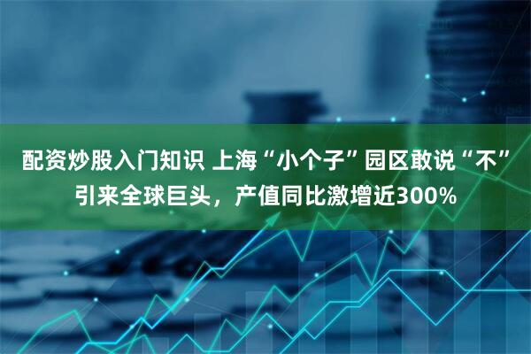 配资炒股入门知识 上海“小个子”园区敢说“不”引来全球巨头，产值同比激增近300%